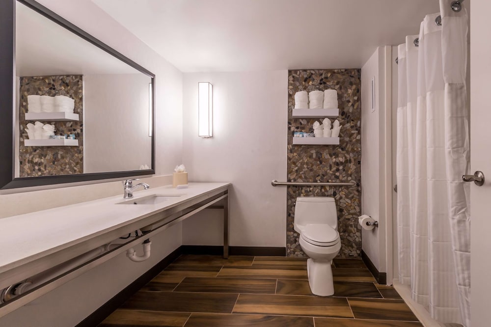 Hilton Garden Inn Detroit Southfield MI - photo 41