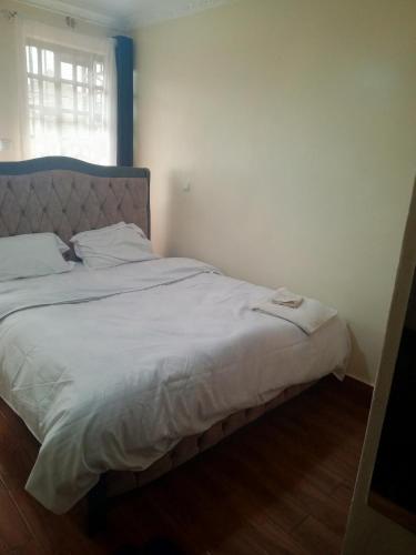 DreamNest B&B