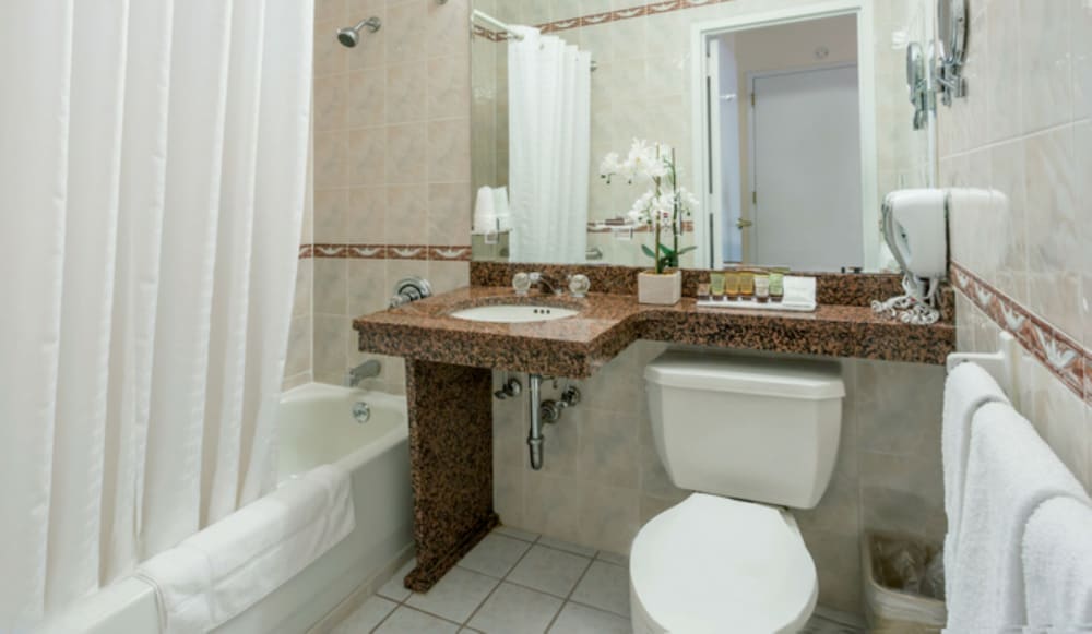 Chelsea Savoy Hotel - photo 10