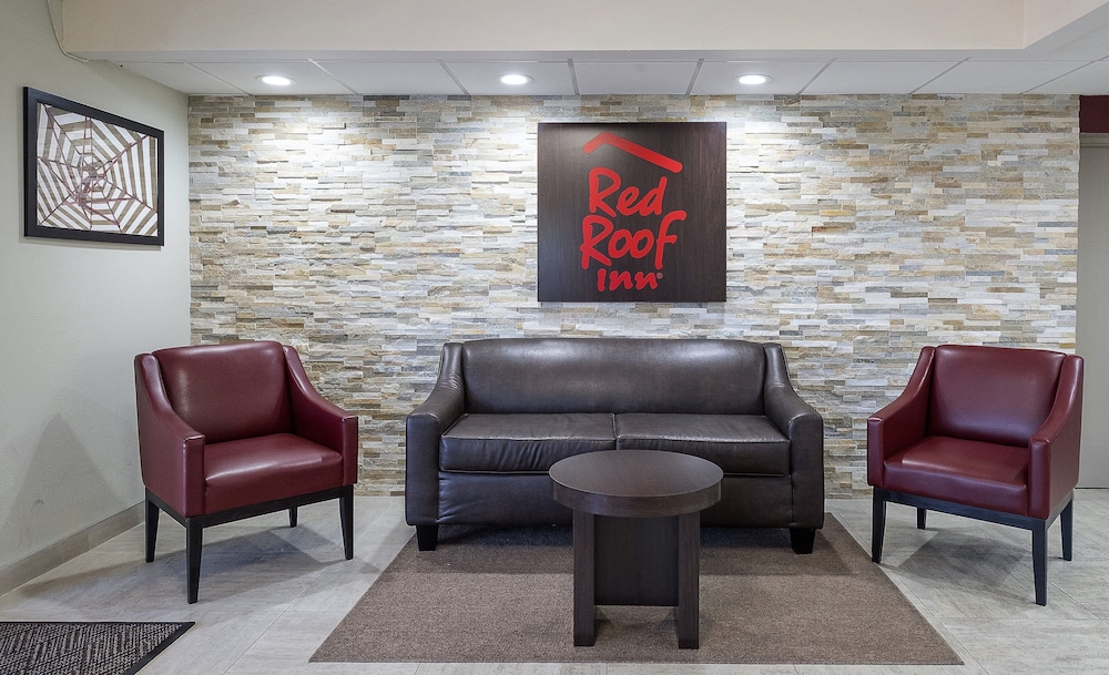 Red Roof Inn Tampa Bay St Petersburg - photo 3