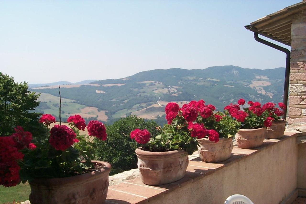 L’oasi — Assisi — photo 4