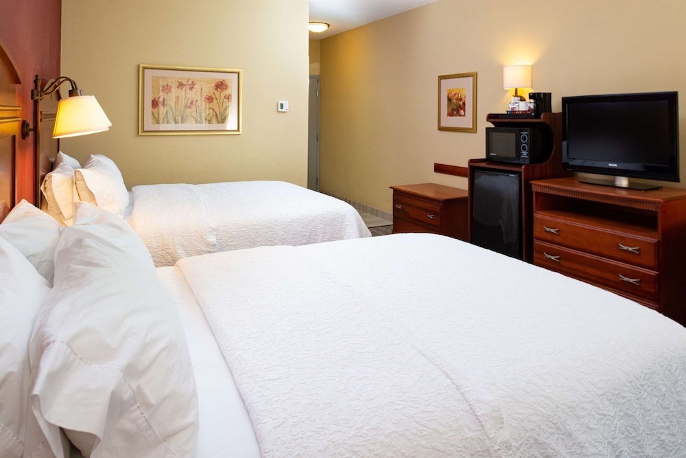 Hampton Inn Kansas City Northeast - photo 29