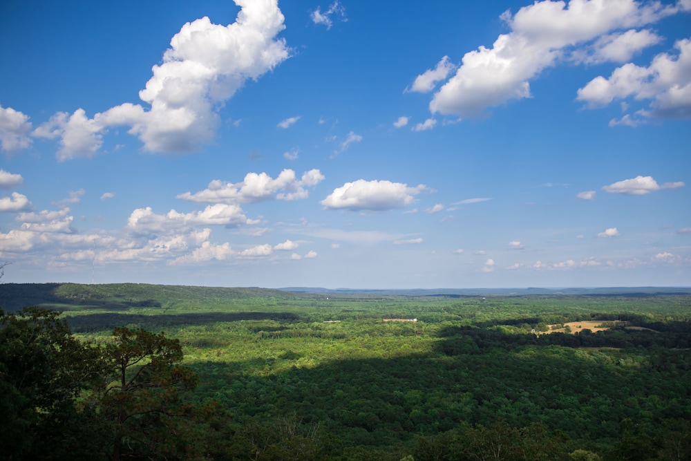 Mountain Top Inn and Resort - photo 61