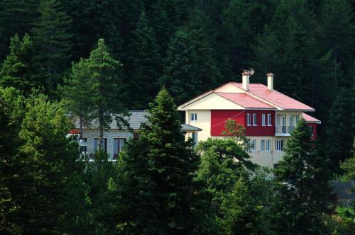 Salvia - carbon neutral hotel in Konitsa