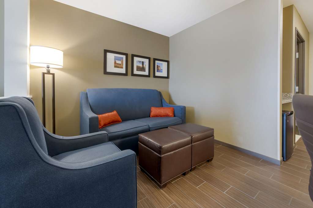 Comfort Suites and Conference Center - photo 17
