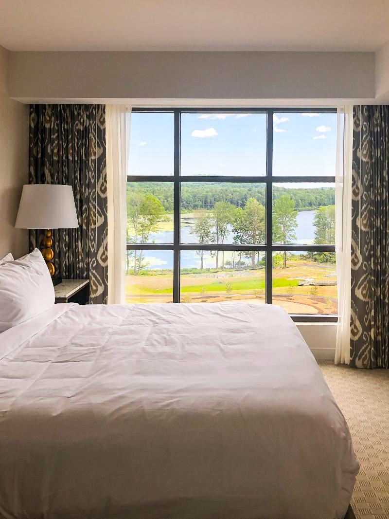 YO1 Longevity & Health Resorts Catskills - photo 19
