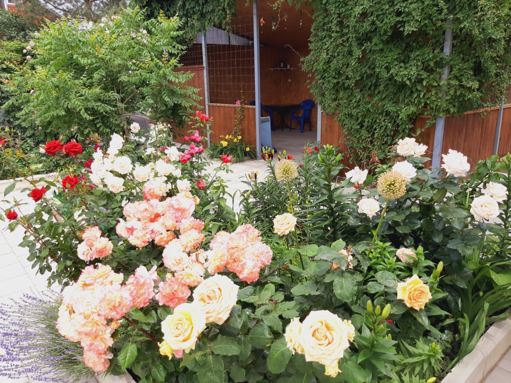 V Chastnom Sektore Furnished Rooms in Golubitskaya, Russia