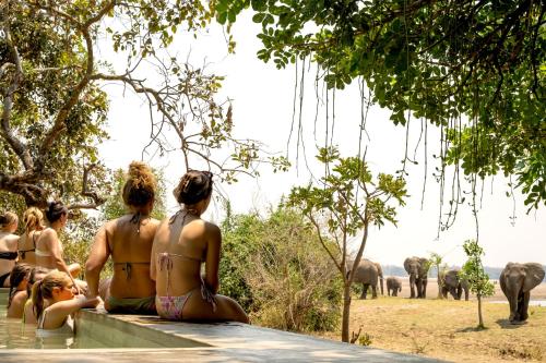 Msandile River Lodge — 4-Star Luxury Hotel in South Luangwa National Park, Zambia