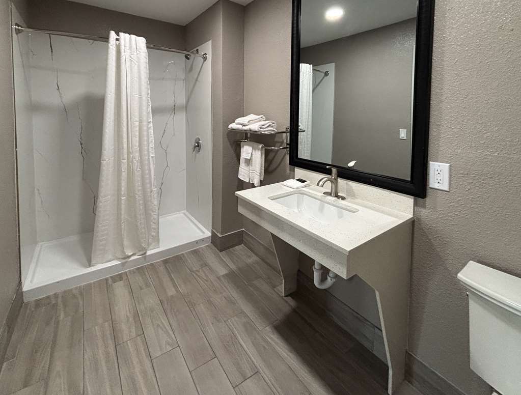 Americas Best Value Inn & Suites La Porte Houston - photo 10