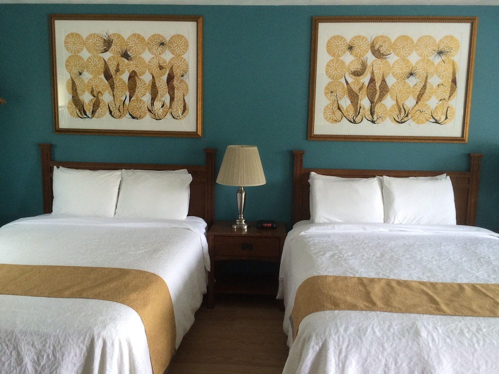 Harwood Hill Motel - photo 4