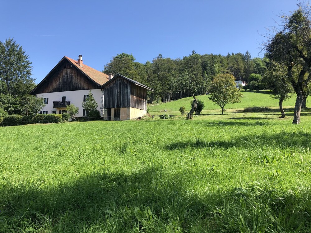 L'Epervier Blanc - last minute hotel in Unknown City