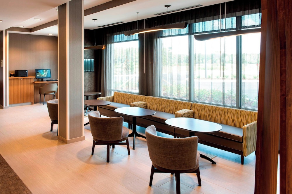 SpringHill Suites by Marriott Tampa Suncoast Parkway - photo 17