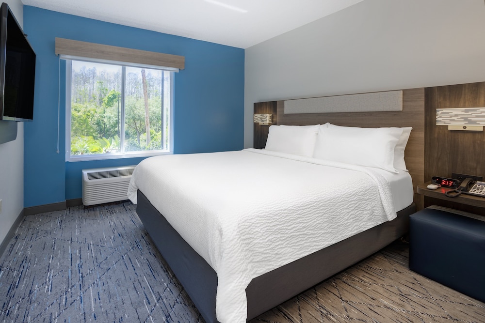Holiday Inn Express Hotel & Suites New Tampa I 75 by IHG - photo 37