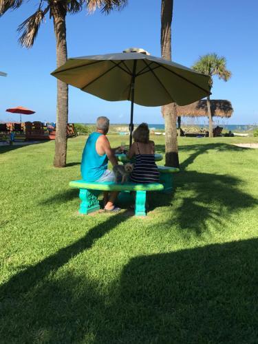 South Beach Inn - photo 22