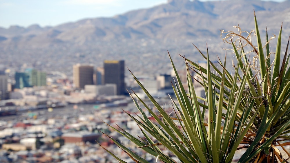 Hotel Indigo El Paso Downtown by IHG - photo 96