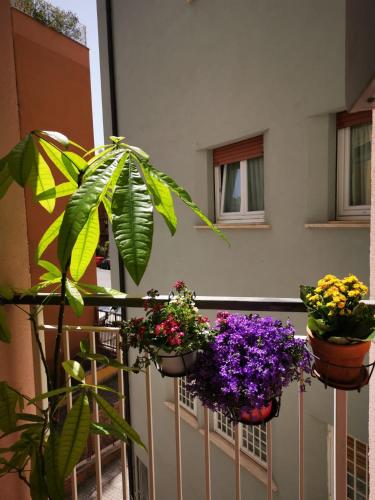 Apuleio 11 — 4-Star Luxury Hotel in Rome, Italy