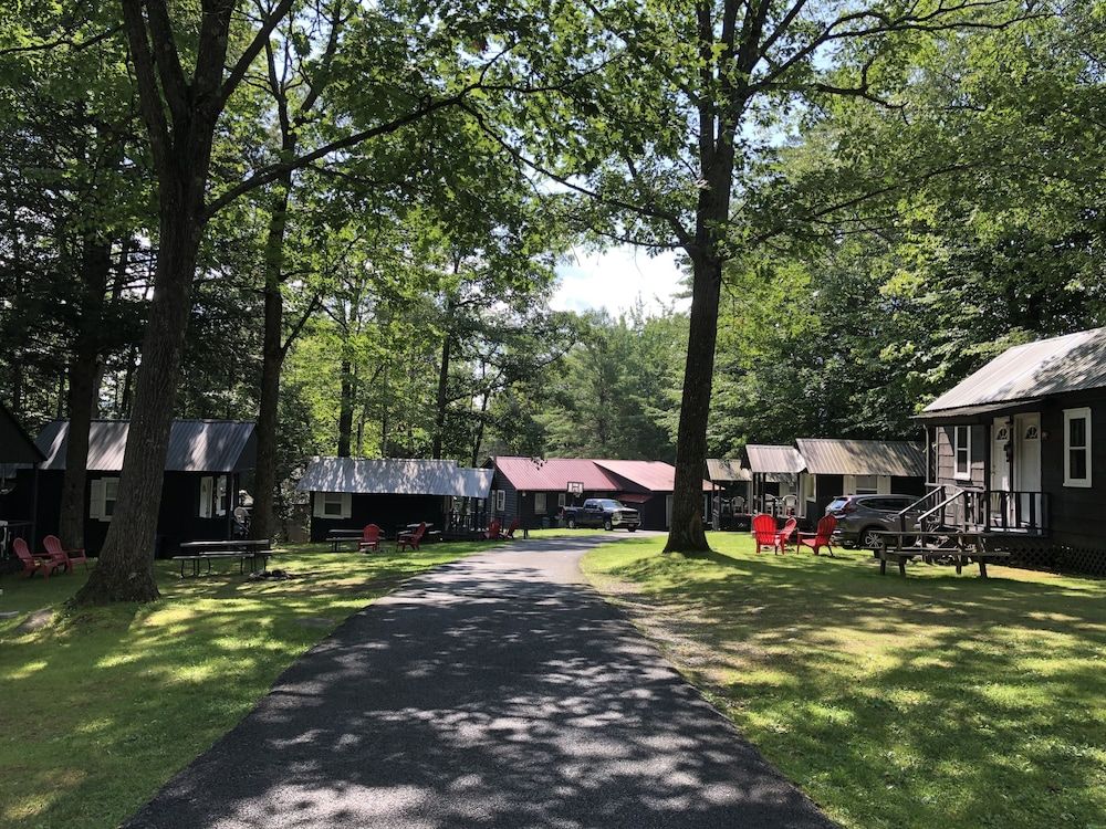 The Lake George Bear’s Den