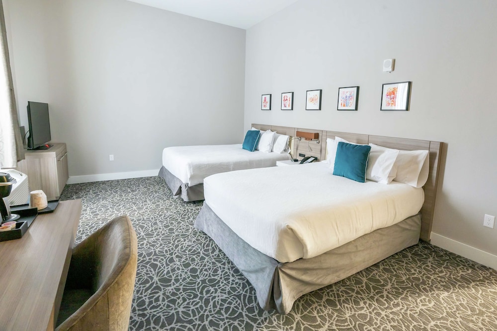 Hilton Garden Inn Wichita Downtown - photo 14
