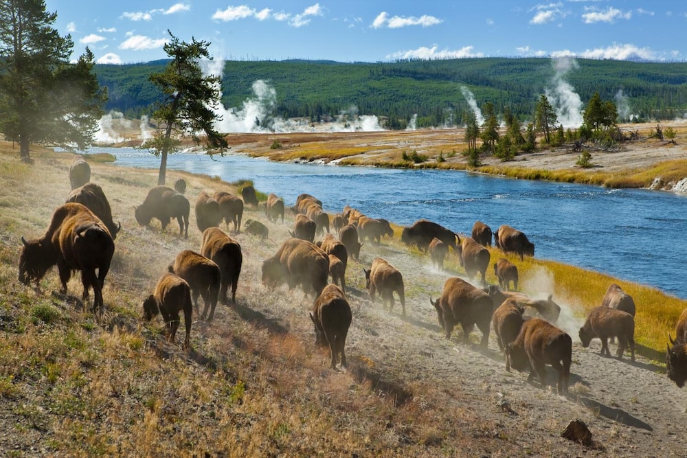 1872 Inn Adults Exclusive - photo 25
