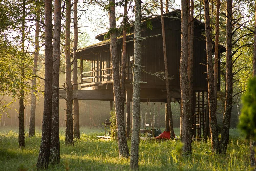 Sambliku Treehouse