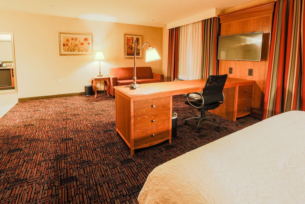 Hampton Inn & Suites by Hilton Tomball Houston NW - photo 19