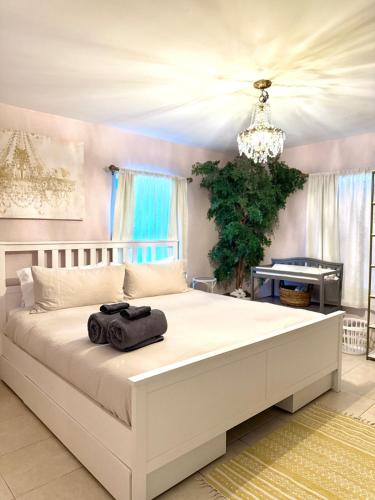 Beach Glam Abode King Bed Bbq Beach Gear — West Palm Beach