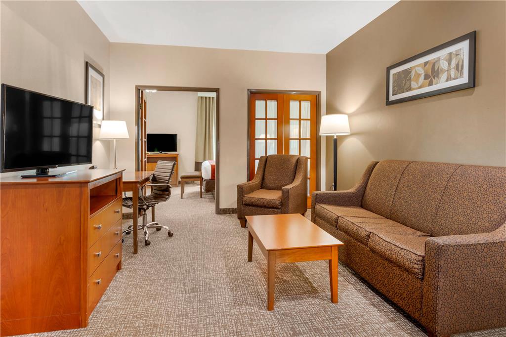 Comfort Suites North Dallas - photo 11