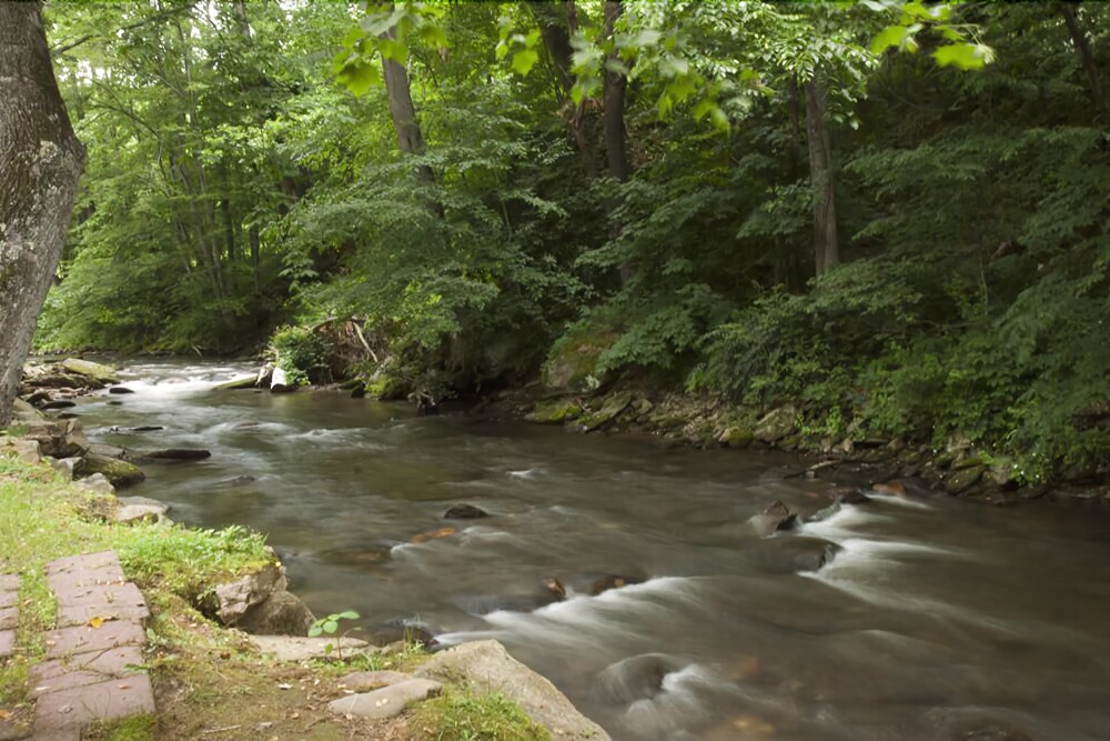 Smoky View Cottages & RV Resorts - photo 41