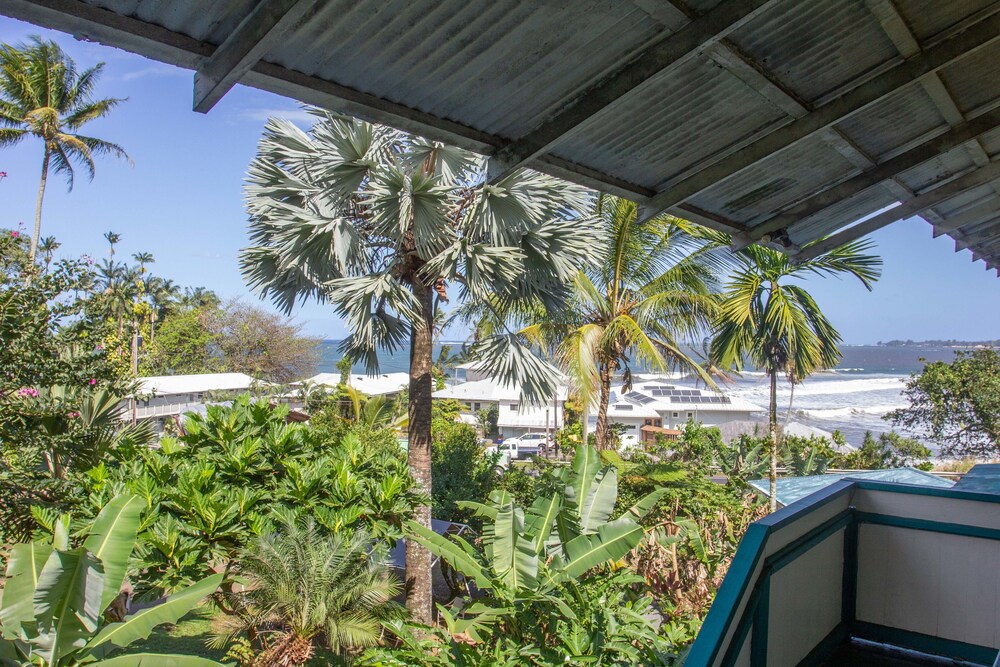 Wild Ginger Inn Hotel - photo 49
