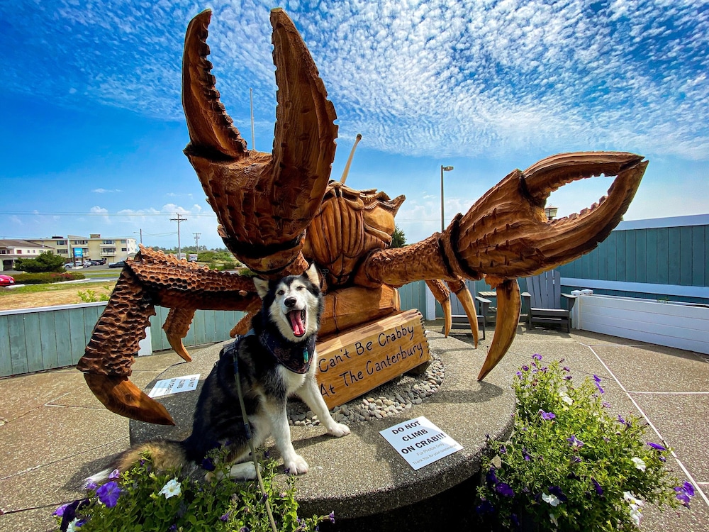 The Canterbury Inn in Ocean Shores, United States