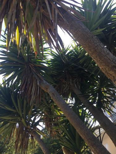 Little Treasure And Gem with Private 2 Person Hot Tub And Up To 25 Percent Ferry Saving in Shanklin, United Kingdom