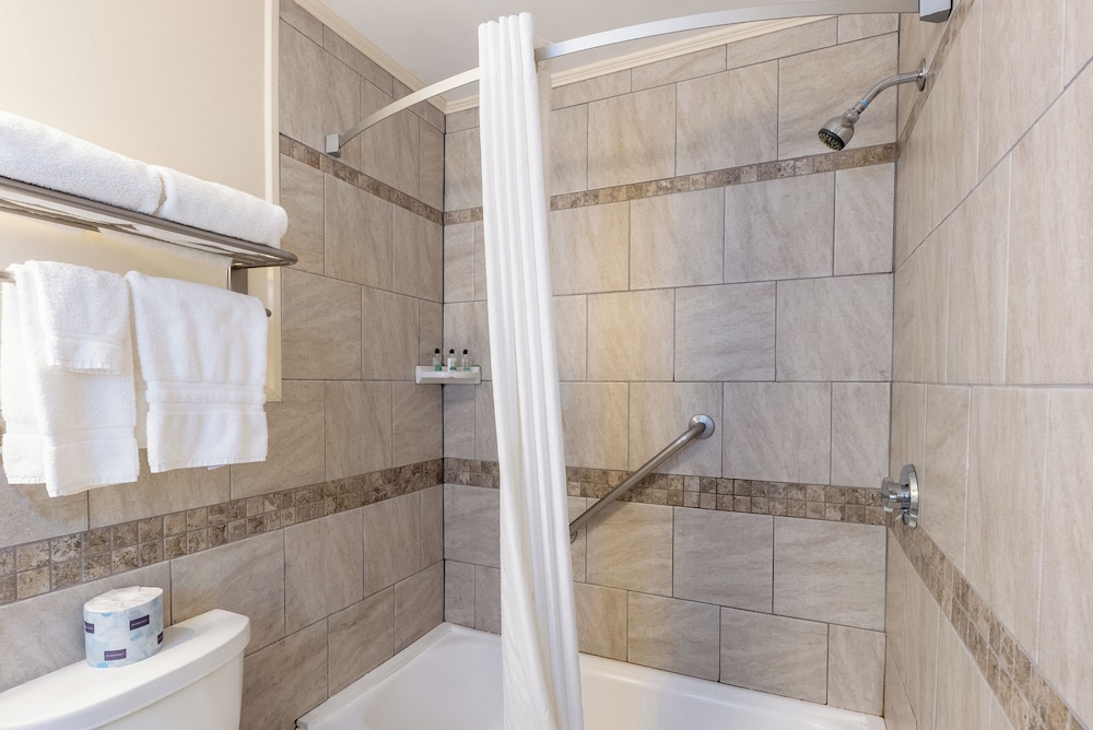 Senator Inn & Spa - photo 81