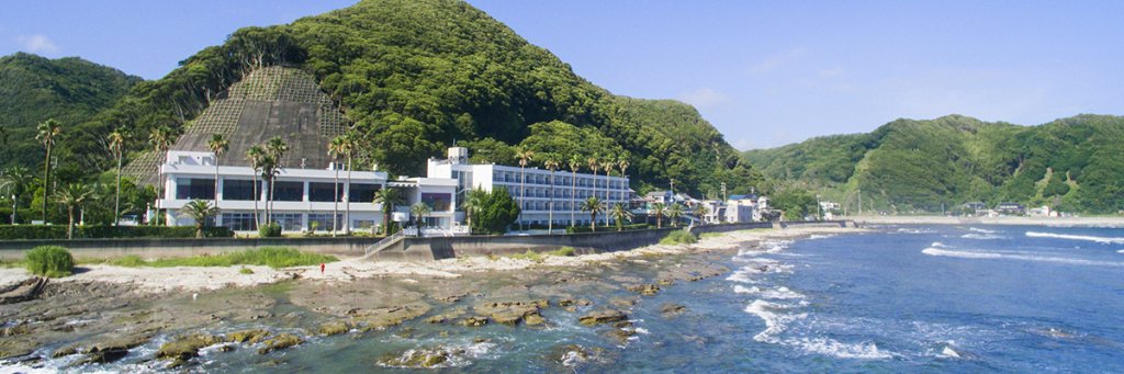 Kominato Miiri Onsen Hotel Green Plaza Kamogawa — Kamogawa