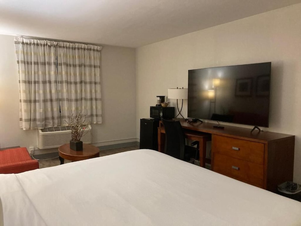 The Hotel Orange - photo 14