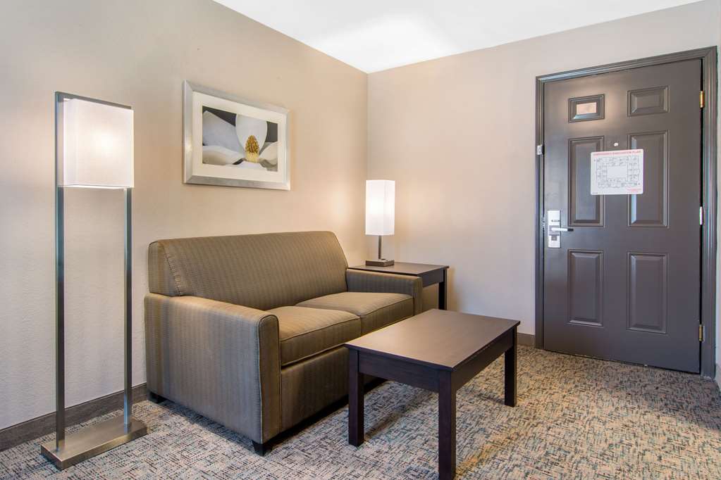 Clarion Inn & Suites Atlanta Downtown - photo 26