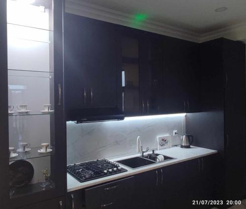 Green house Apartment 1g 17