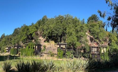 Reserva Los Bollenes — Constitucion — photo 4