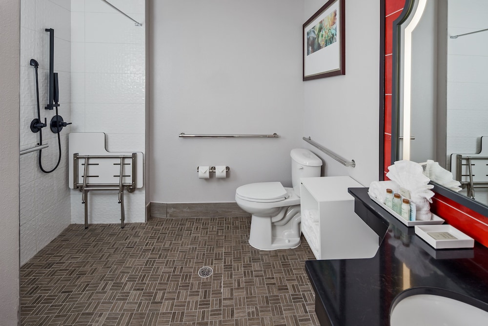 Hotel Indigo San Antonio Riverwalk by IHG - photo 23