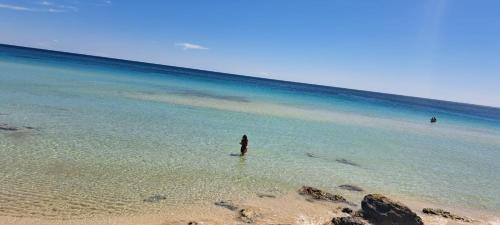 Appartamento a 50 mt dal mare cristallino di Campomarino — hotel in Campomarino