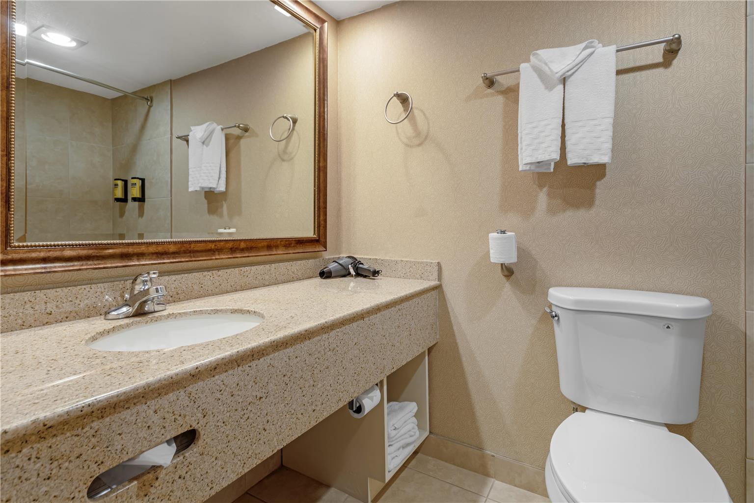 Best Western Plus Big America - photo 49