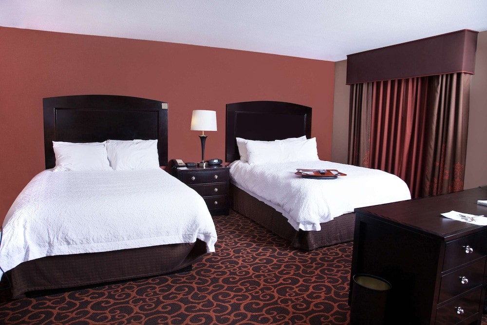 Hampton Inn & Suites Dickinson - photo 31