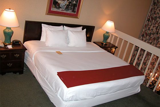 Haven Hotel - photo 51