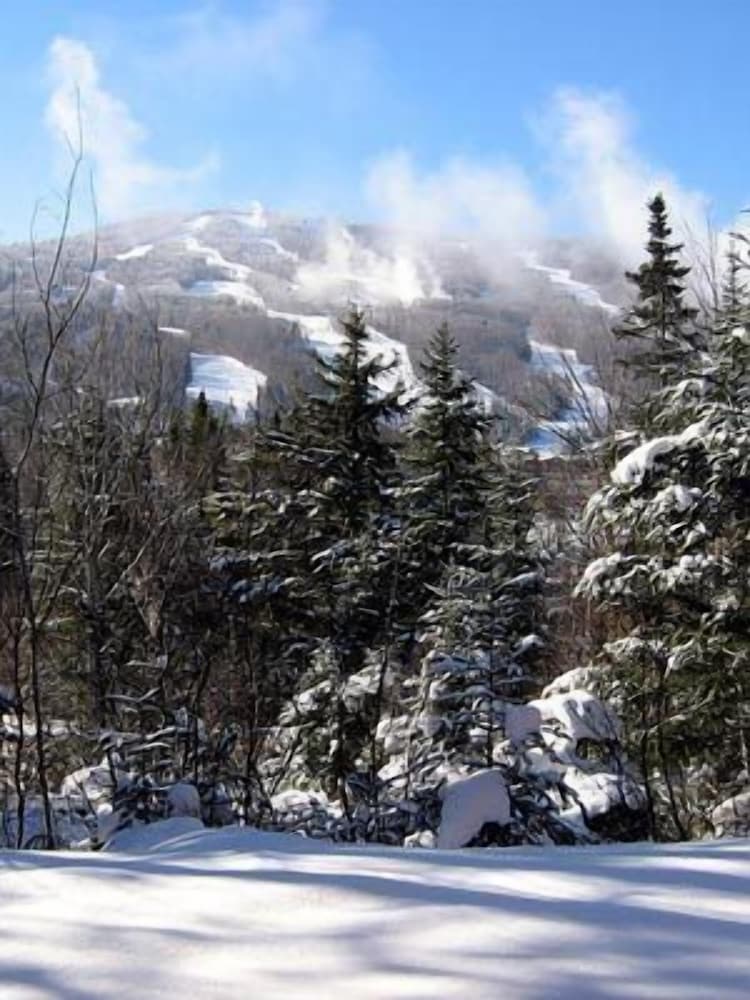 Townhomes at Bretton Woods - photo 41