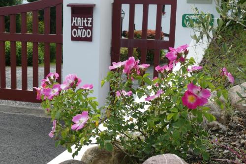 Haitz Ondo — Hasparren — photo 2