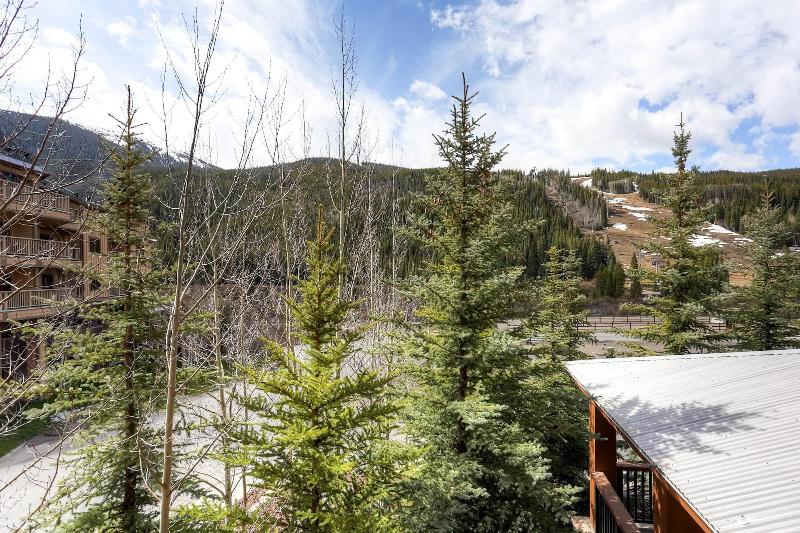 The Springs Condos by Keystone Resort - photo 64