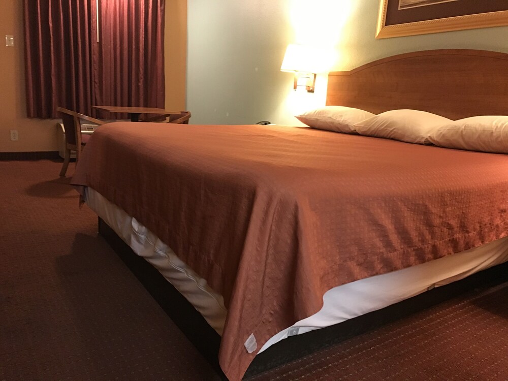 Sky Palace Inn and Suites Laredo - photo 21