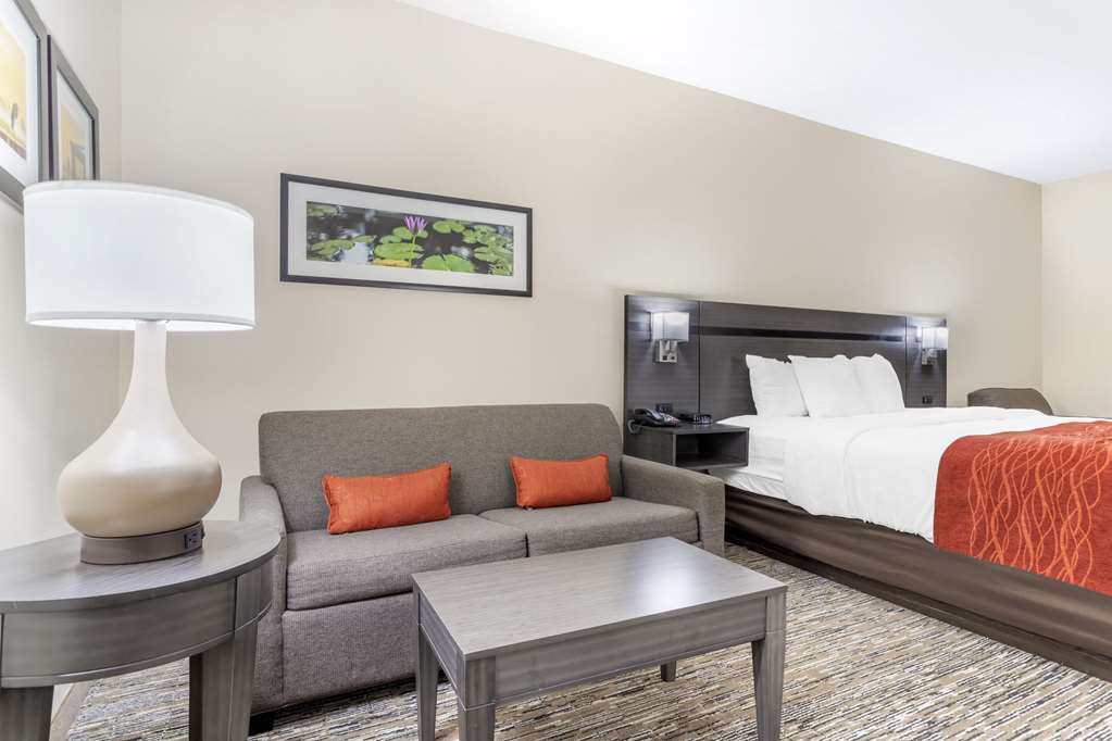 Comfort Inn Orange I 10 - photo 15