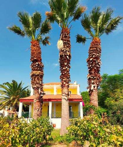 The Three Palms Samos Seaside Villa — 4-Star Luxury Hotel in Pythagoreio, Greece