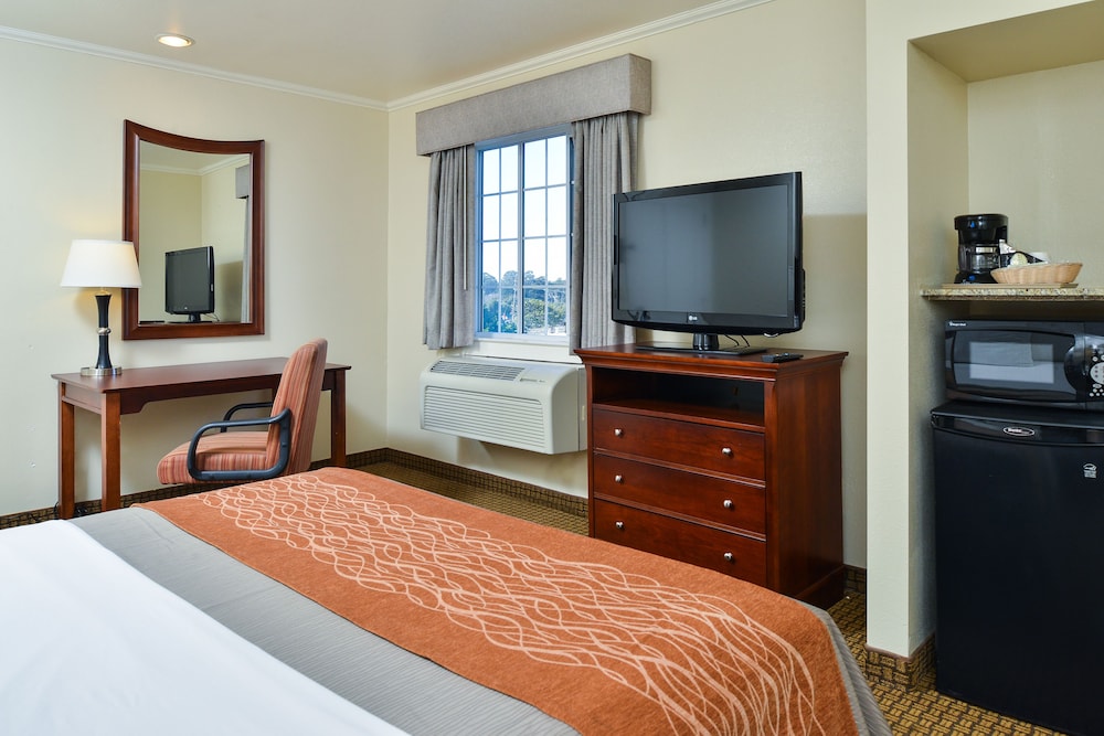Blu Pacific Hotel - photo 10
