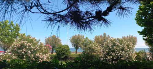 RosMarino_Appartamento Fronte Mare — 4-Star Luxury Hotel in Roseto Degli Abruzzi, Italy